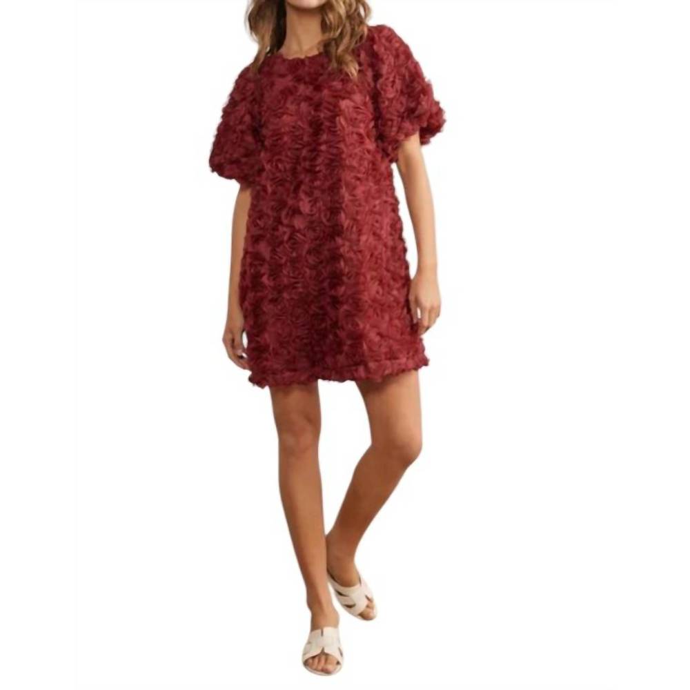 NEW IN FEBRUARY ribbon mini dress in rose